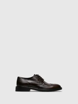 Brown Oxford