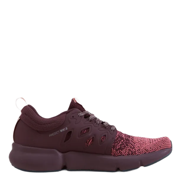 Predict Soc2 W Mauve Wood/wine Tasting/peachy